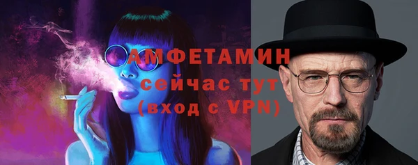 индика Володарск