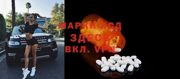 индика Володарск