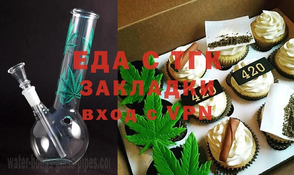 индика Володарск
