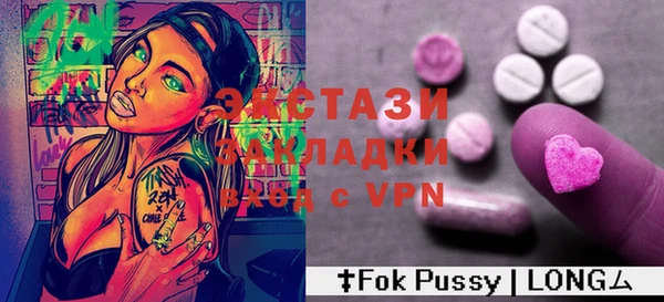 индика Володарск
