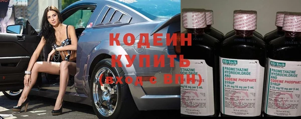 индика Володарск