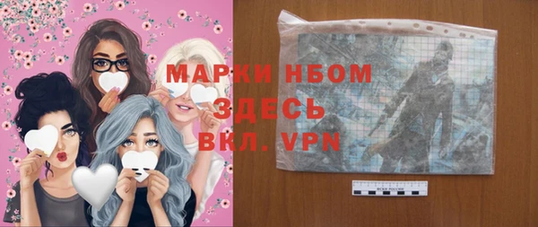 индика Володарск