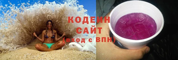 индика Володарск