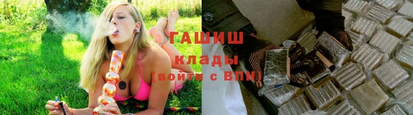 индика Володарск